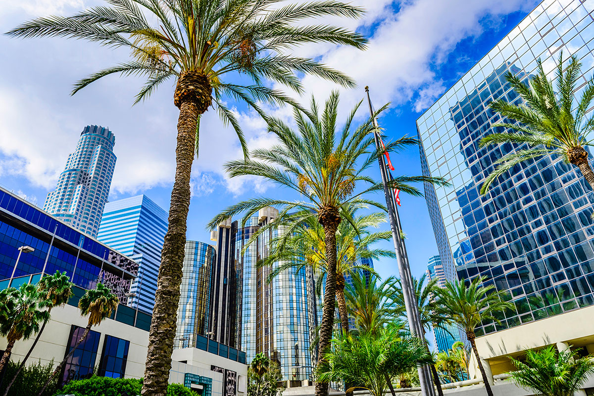 discover-l-a-the-los-angeles-film-school