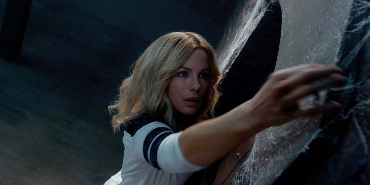The Disappointments Room