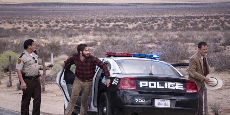 Nocturnal Animals