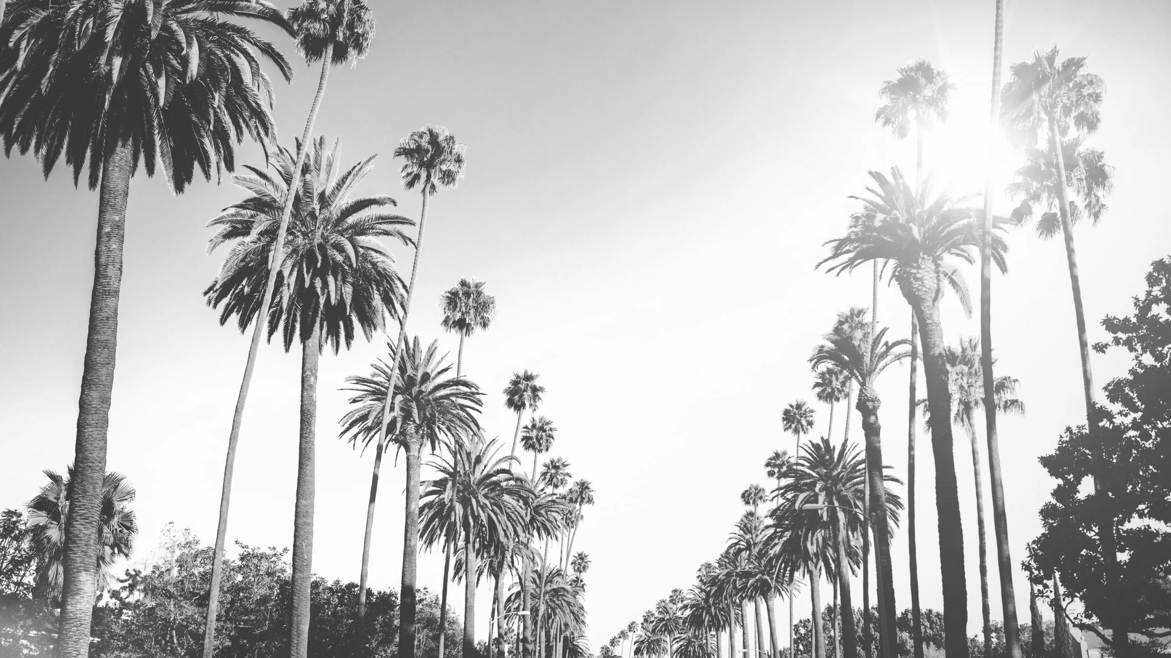 The Los Angeles Film School The Los Angeles Film School