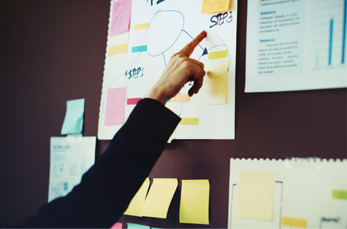 Brand Development