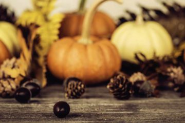 Thanksgiving