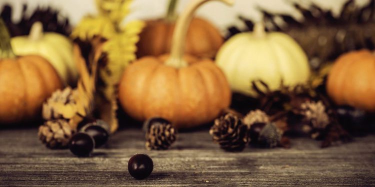Thanksgiving