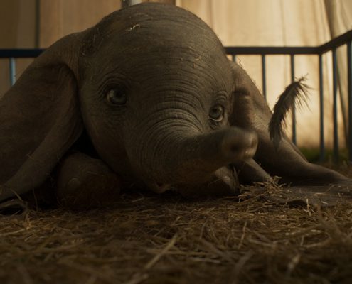 DUMBO