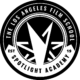 Spotlight Academy