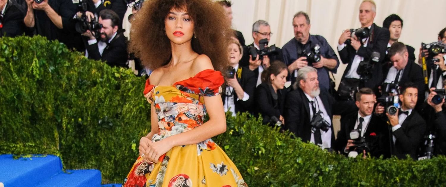 Met Gala Costume As Character - Zendaya