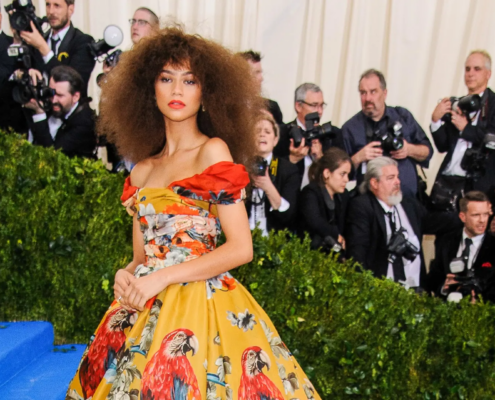 Met Gala Costume As Character - Zendaya