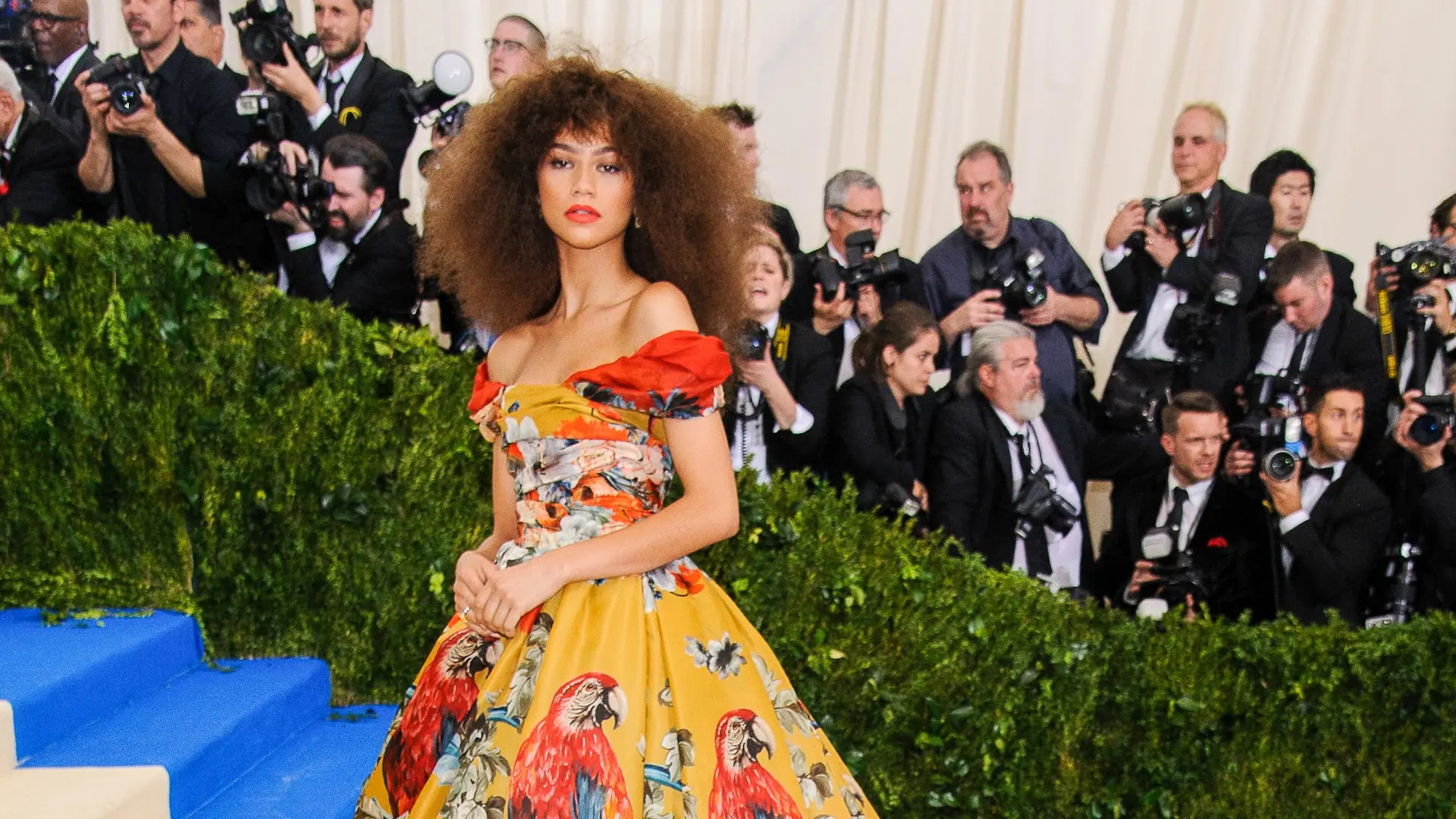 Met Gala Costume As Character - Zendaya