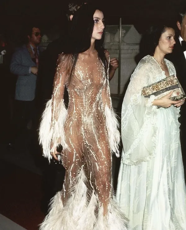 Cher - 1974 Met Gala Costume